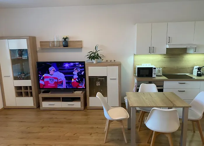 Citypark Apartment, Free Parking & Ac Appartement